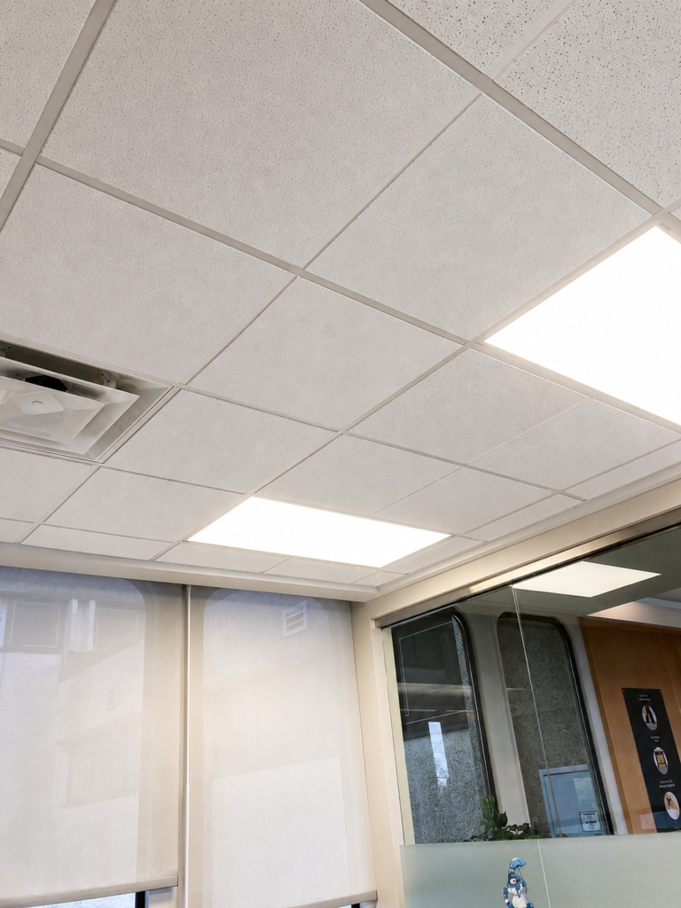 Ceiling tile refresh above a finished interior space.